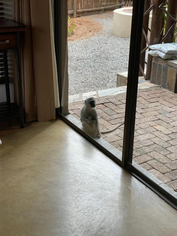 Villa The Cheetah Rest Hoedspruit Exterior foto